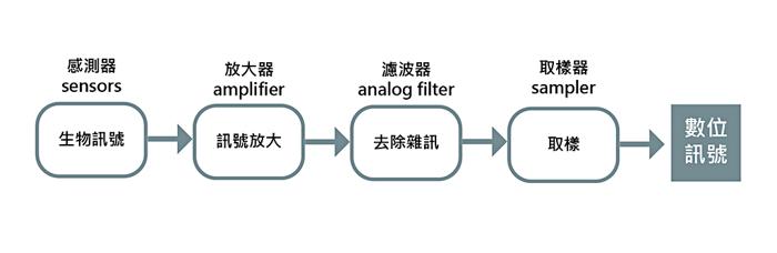 生物訊號處理步驟。 (繪圖／林彥伶)