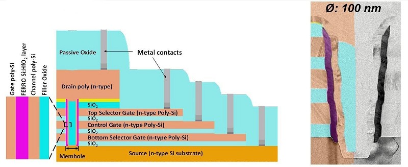 圖左為通心麵型的3D FeFET切面示意圖，可見三個記憶單元串聯；圖右為穿透式電子顯微鏡（transmission electron microscopy，TEM）下的切面圖（直徑：100nm）。