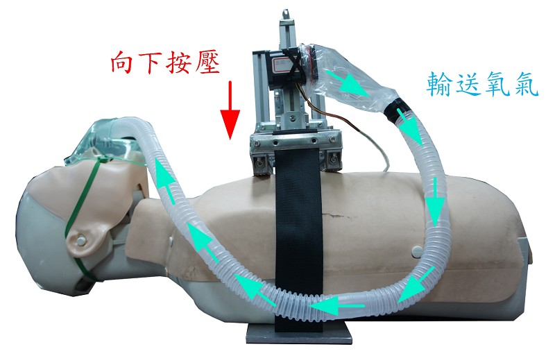 心肺復甦裝置運作示意圖