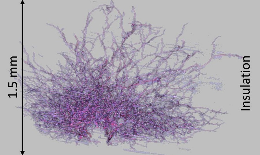 在使用過程的電纜絕緣層中形成的典型「刷狀」電樹（electrical tree）。圖為3D顯微 CT掃描。