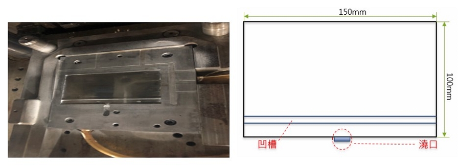 簡化的白斑試驗模型模具與示意圖