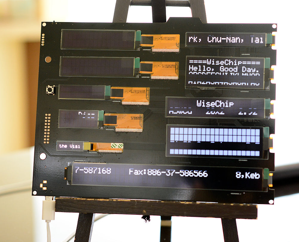 WiseChip provides products that are extremely diverse and come in a variety of standard sizes to meet the customized and specific display requirments of industrial clients, including monocrome and full color products and products with built-in characters for 18 languages( as picture).