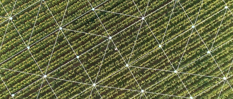 農業和食品技術領域，研究感測器、機器人、人工智能、數據分析和數位連結的發展，以實現可永續的農業技術。