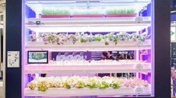 因應垂直農業需使用更永續、更有效利用資源的方式種植作物，西門子的數位解決方案也在這次現場展示如何透過其先進的工業系統，實現種植自動化。（攝影：籃貫銘）