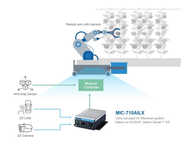 研華透過AI 自主移動機器人，3D相機辨識番茄走道，利用機械手臂旁的攝影機蒐集果實照片，自動採收番茄。（source：研華）