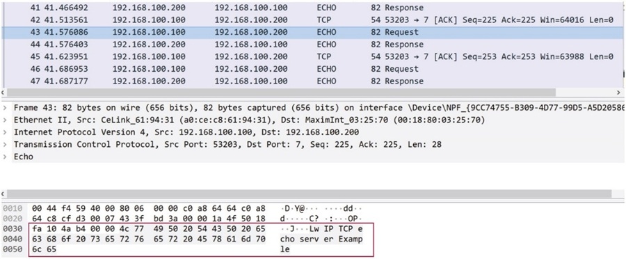 Wireshark 程式中的TCP Echo 伺服器輸出結果