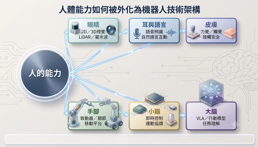 人體能力被外化為機器人的眼、耳、皮膚、手腳、小腦與大腦（圖片來源：本刊整理製圖）